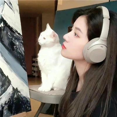 凤凰城故事